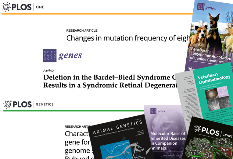Image of journals we have published in recently