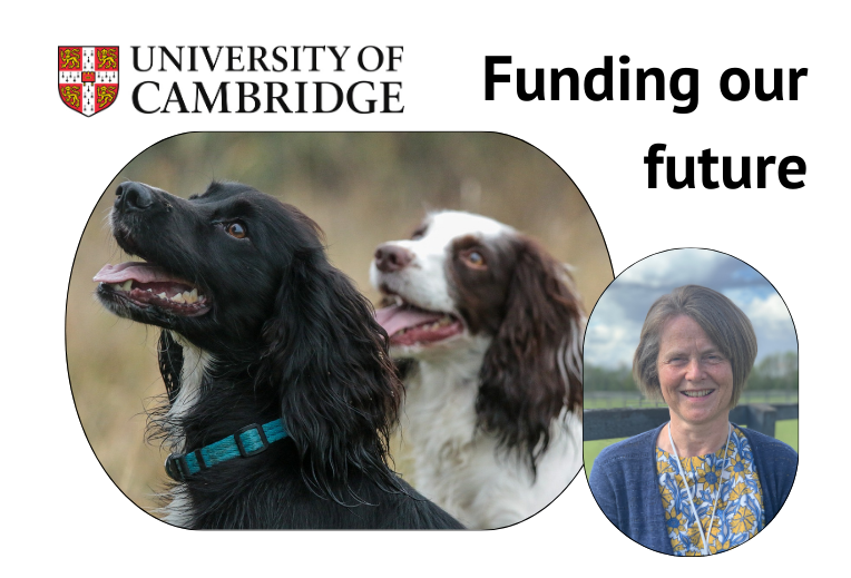 Help us fund the future of the Canine Genetics Centre
