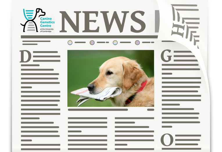 Link to read about our recent activity