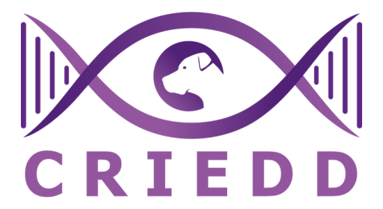 The CRIEDD Project