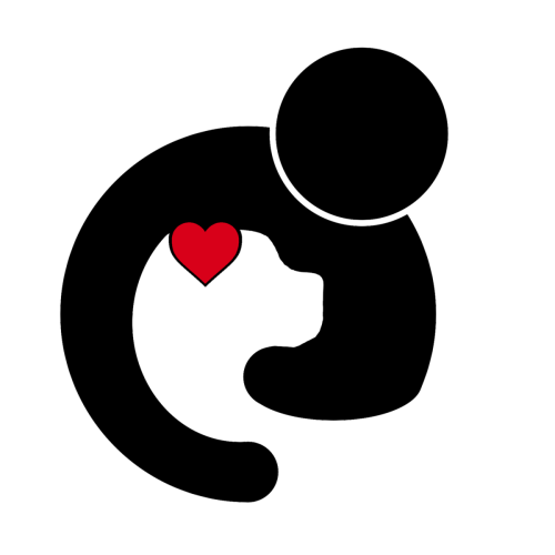 Border Terrier LifeLine 