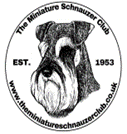Mini-schnauzer-club