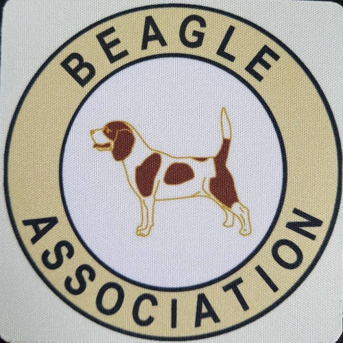 beagle-assoc