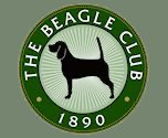 beagle-club