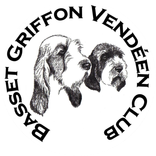 Basset Griffon Vendéen Club 