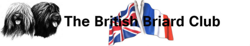 british-briard