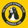cocker-spaniel-club