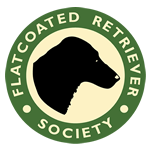 flatcoated-retriever-society