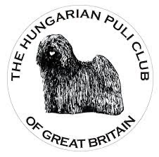 hungarian-puli-club-GB