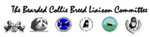 joint-bearded-collie-breed-liaison