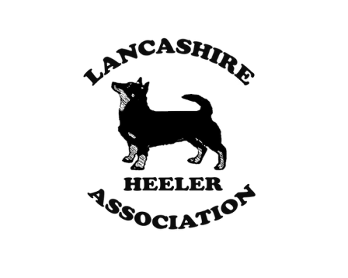 Lancashire Heeler Association