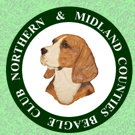 northern-midland-counties-beagle-club