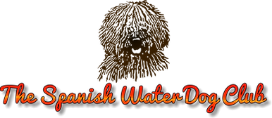 spanish-water-dog-club