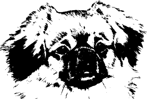 Tibetan Spaniel Association 