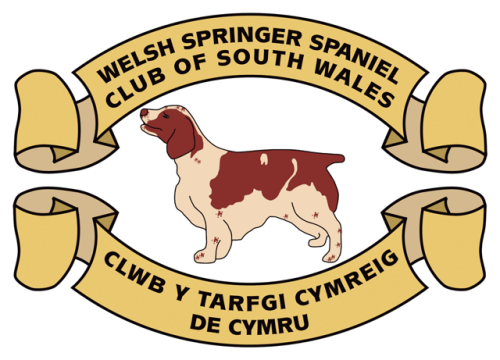 welsh-springer-spaniel-club-wales